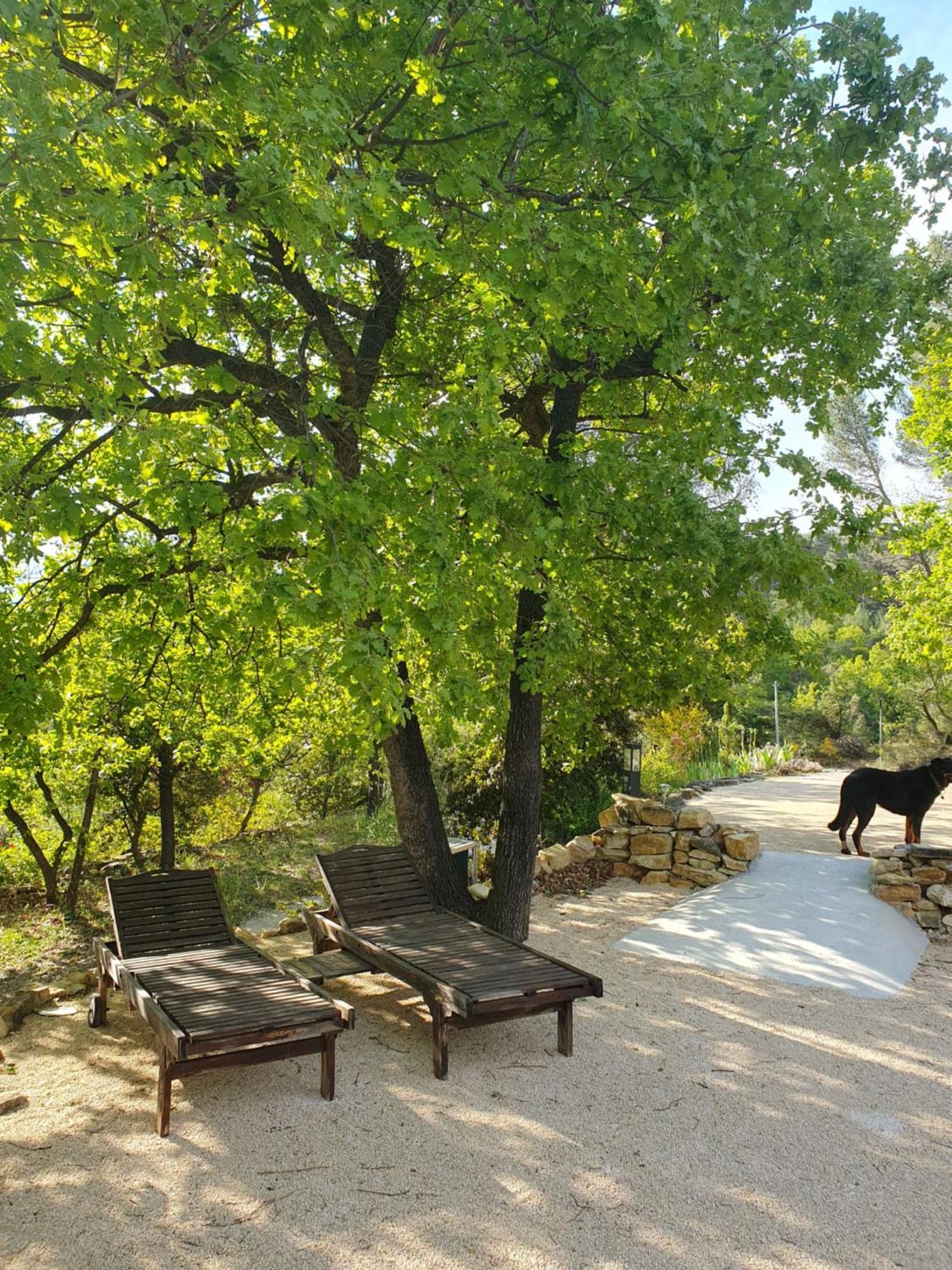 Le Soleil Du Ventoux Villa Entrechaux Ngoại thất bức ảnh