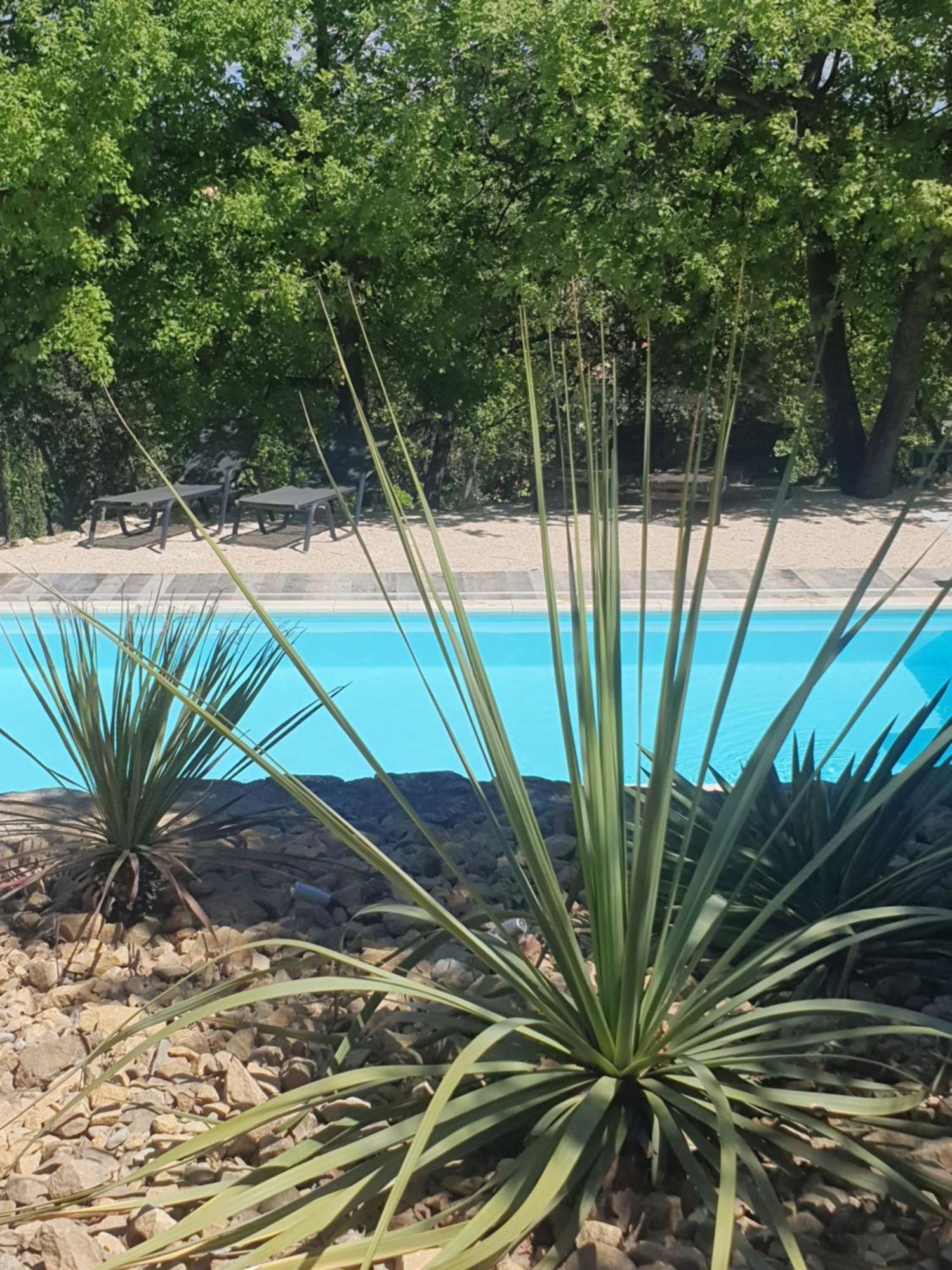 Le Soleil Du Ventoux Villa Entrechaux Ngoại thất bức ảnh